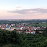 From Bratislava: Organic Wine Tasting in Svaty Jur - A Closer Look at the Experience