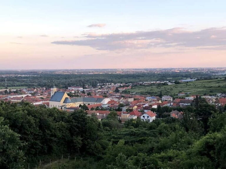 From Bratislava: Organic Wine Tasting in Svaty Jur - A Closer Look at the Experience
