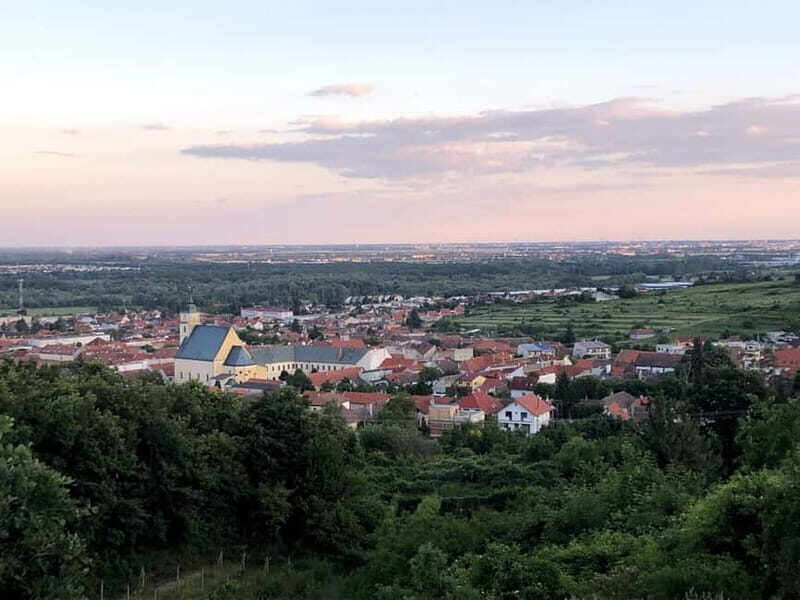 From Bratislava: Organic Wine Tasting in Svaty Jur - A Closer Look at the Experience