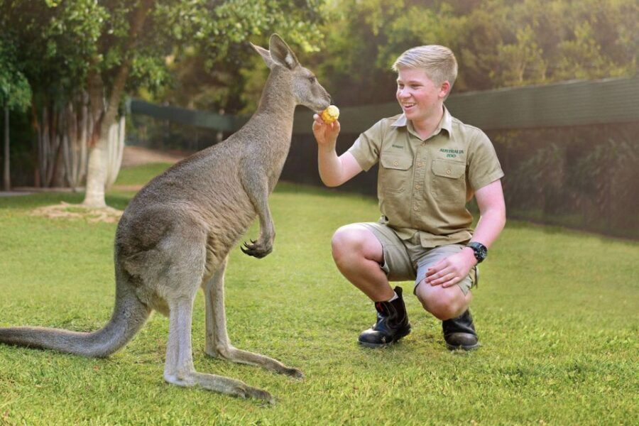From Brisbane: Australia Zoo Ticket and Roundtrip Transfer - Entering Australia Zoo: A World of Wildlife Awaits