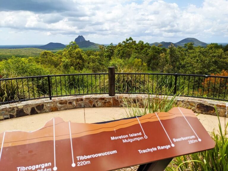 From Brisbane: Day Trip to Noosa, Glass House Mtns and Zoo - A Deeper Look at the Itinerary and Highlights