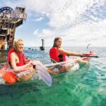 From Brisbane: Moreton Island Full-Day Trip - Analyzing Value and Practicality