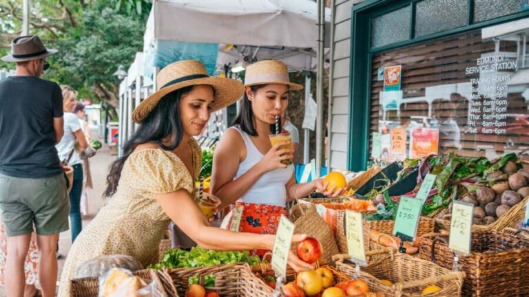 From Brisbane: Noosa, Eumundi and Montville Full Day Tour - Discovering the Sunshine Coast: An In-Depth Look