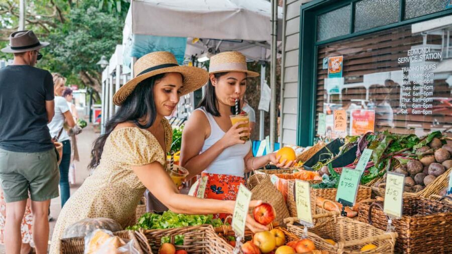 From Brisbane: Noosa, Eumundi and Montville Full Day Tour - Discovering the Sunshine Coast: An In-Depth Look