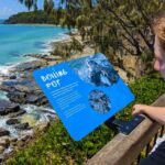 From Brisbane: Noosa & Eumundi Markets Small-Group Day Tour - Who should consider this tour?