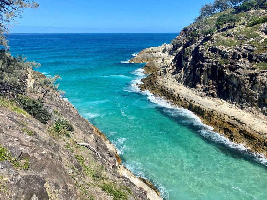 From Brisbane: North Stradbroke Island Wildlife Adventure - Price and Value: What You’re Getting