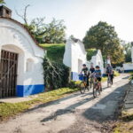 From Brno: Moravian Tuscany E-Bike Tour with Wine Tasting - Practical Details and Value