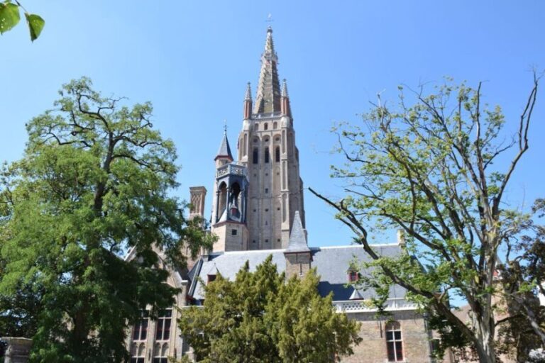 From Brussels: Bruges Private Tour - Why This Tour Makes Sense