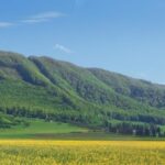 From Bucharest: Bear Sanctuary and 7 Ladders Canyon Day Trip - Why We Think You’ll Love This Tour