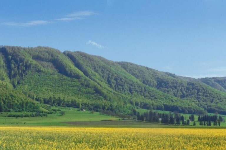 From Bucharest: Bear Sanctuary and 7 Ladders Canyon Day Trip - Why We Think You’ll Love This Tour