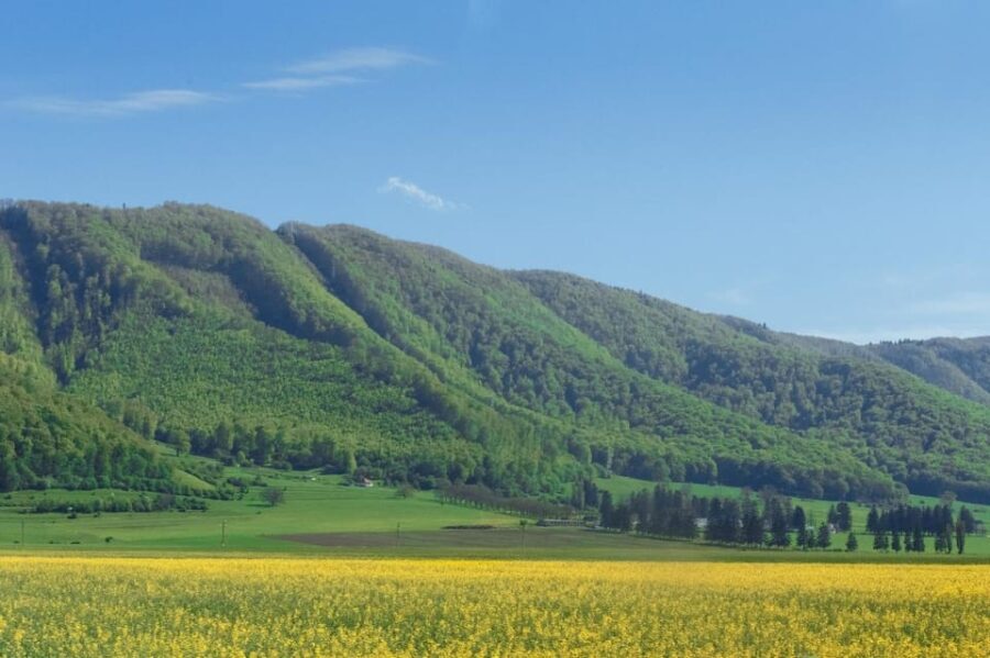From Bucharest: Bear Sanctuary and 7 Ladders Canyon Day Trip - Why We Think You’ll Love This Tour