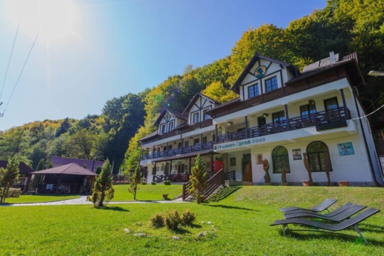 From Bucharest: Brdetu 4x4 Tour with Lunch, Hotel Pick-Up - Why This Tour Offers Good Value
