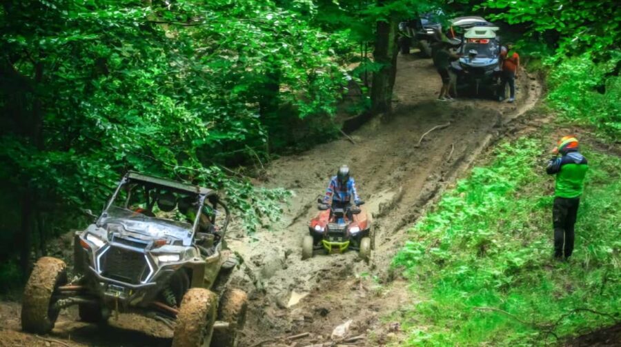 From Bucharest: BUGGY Quad Tour in the Carpathian Mountains - An In-Depth Look at the Buggy Tour