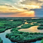 From Bucharest: Danube Delta Private Day Trip with Boat Tour - The Sum Up