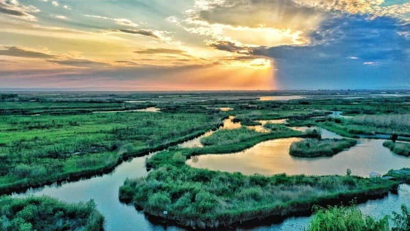 From Bucharest: Danube Delta Private Day Trip with Boat Tour - The Sum Up