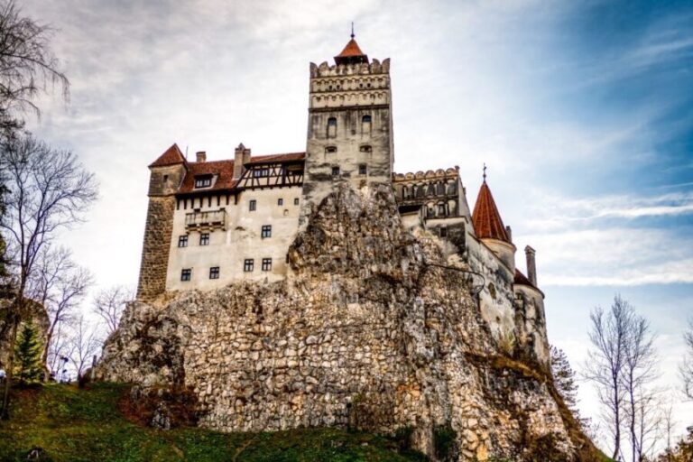 From Bucharest: Dracula's Castle & Bear Sanctuary Adventure - Who Will Love This Tour?