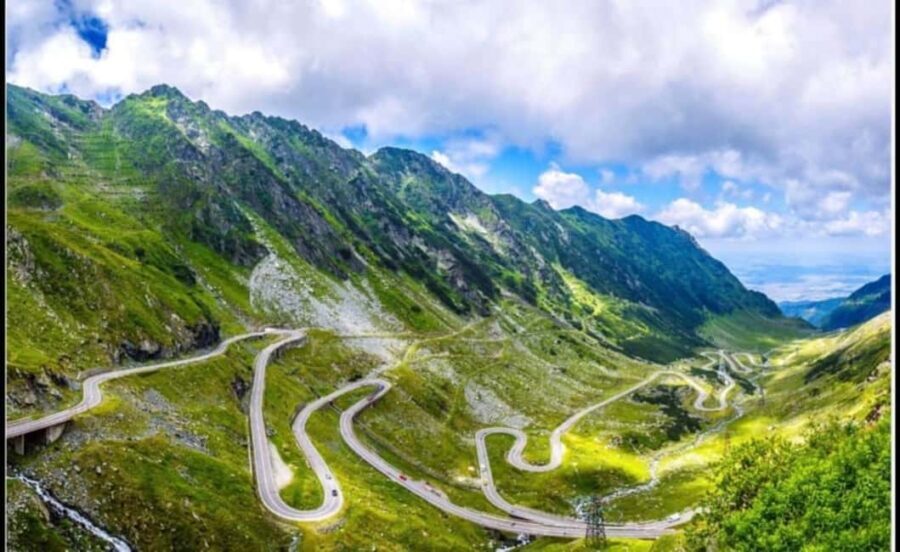 From Bucharest: Fgra Mountains and Bear Watching Tour - Who Should Consider This Tour?