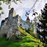 From Bucharest: Full-Day Private Dracula Tour - Why This Tour Offers Great Value