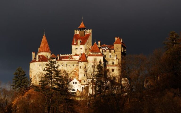 From Bucharest: Pele and Bran Castles Private Tour - What’s Included and What’s Not