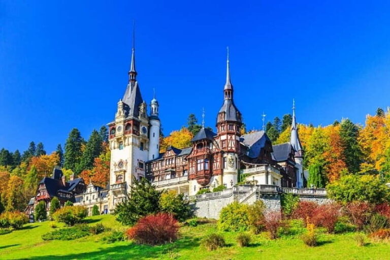 From Bucharest: Peles, Bran Castle, and Brasov Day Trip - Practical Details and Tips