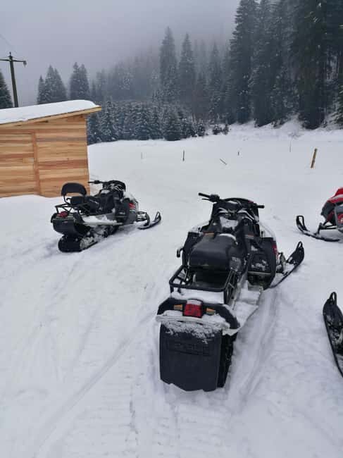 From Bucharest: Snowmobile Tour in the Carpathian Mountains - Who Will Love This Tour?