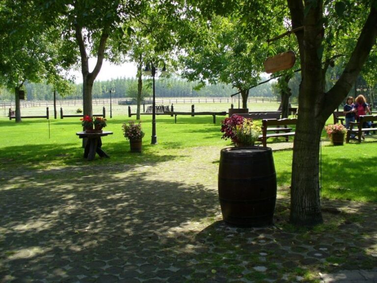 From Budapest: Full-Day Puszta Tour with Lunch and Show - A Deep Dive into the Full-Day Puszta Tour