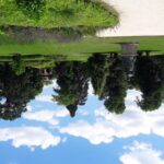 From Budapest: Gödöll Palace of Queen Elizabeth Tour - Who Will Love This Tour?