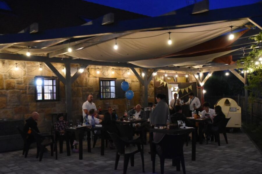 From Budapest: Half-day Monor wine tour with meal - Who Will Benefit Most from This Tour?