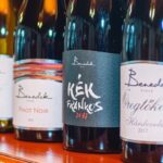 From Budapest: Mátra Hills Wine Tour - Final Thoughts