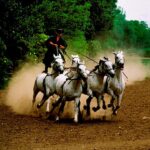 From Budapest: Puszta Horse Show and Countryside Visit - Authenticity and Comfort