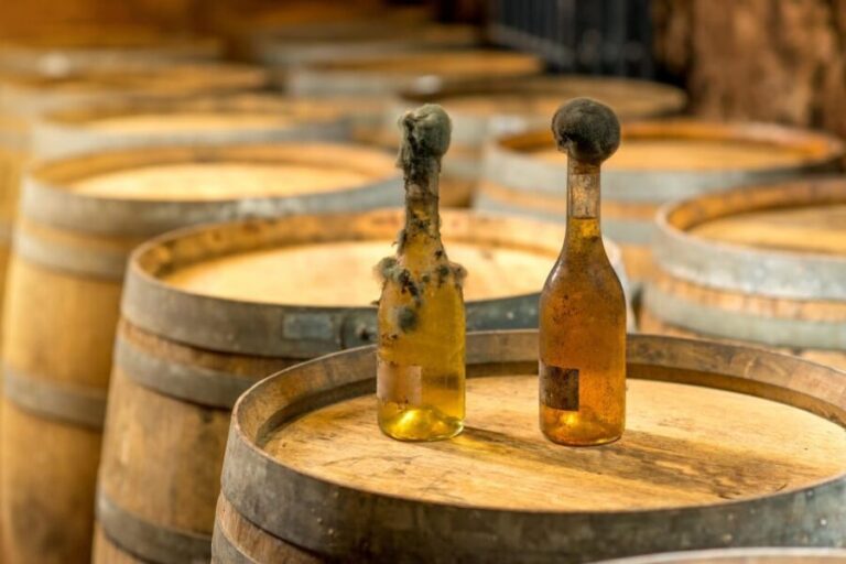 From Budapest: Tokaj Wine Tour with Tasting and Lunch - Who Will Enjoy This Tour?