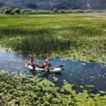From Budva: Skadar Lake Land and Boat Tour - Authentic Experiences and Authentic Concerns