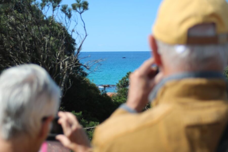 From Busselton: Half-Day Coastal and Wildlife Eco Tour - Who will love this tour?