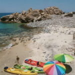 From Cabo: Cabo Pulmo Marine Park Snorkeling and Kayaking - Who Is This Tour Best Suited For?