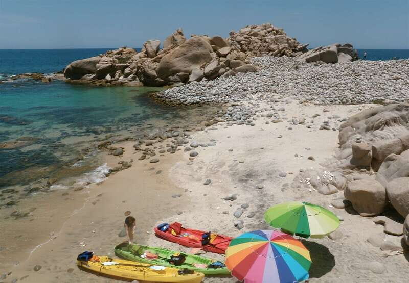 From Cabo: Cabo Pulmo Marine Park Snorkeling and Kayaking - Who Is This Tour Best Suited For?