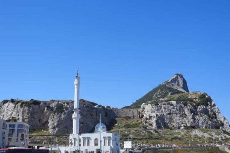 From Cadiz Bay: Gibraltar Day Trip with Rock Tour - What Travelers Say