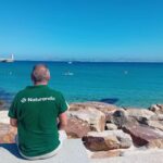 From Cádiz Bay: Tarifa Dolphin Watching Tour - The Sum Up