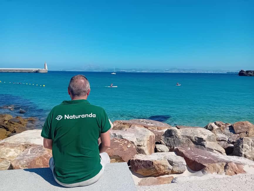 From Cádiz Bay: Tarifa Dolphin Watching Tour - The Sum Up
