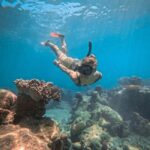 From Cairns: 2 Islands 1 day - Fitzroy & Green Islands - Exploring the Day Trip: What to Expect