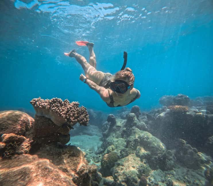 From Cairns: 2 Islands 1 day - Fitzroy & Green Islands - Exploring the Day Trip: What to Expect