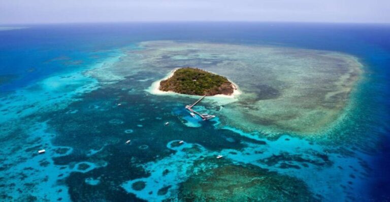 From Cairns: 40-Min Scenic Reef Window Seat Airplane Flight - An In-Depth Look at the Cairns Scenic Reef Flight
