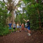 From Cairns: Atherton Tablelands Eco-Adventure & Swim Tour - An In-Depth Look at the Atherton Tablelands Eco-Adventure & Swim Tour