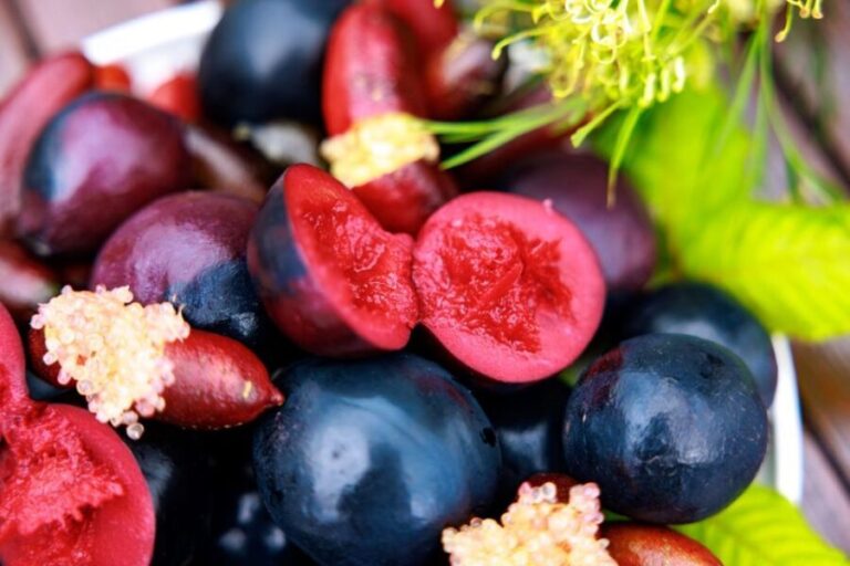 From Cairns: Atherton Tablelands Food and Wine Tasting Tour - Exploring the Atherton Tablelands: A Food Lover’s Dream