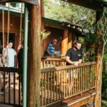 From Cairns: Chillagoe Caves and Outback Full-Day Tour - A Detailed Look at the Experience