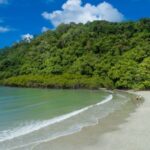 From Cairns: Daintree Rainforest & Cape Tribulation 4WD Tour - A Detailed Look at the Daintree & Cape Tribulation Tour