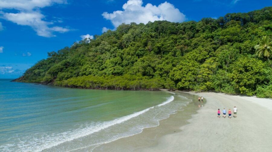 From Cairns: Daintree Rainforest & Cape Tribulation 4WD Tour