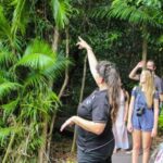 From Cairns: Daintree Wilderness & Cape Tribulation Bus Tour - What’s Included & What to Keep in Mind
