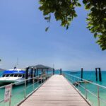 From Cairns: Fitzroy Island Day Trip by Ferry - Authentic Experiences Backed by Traveler Insights