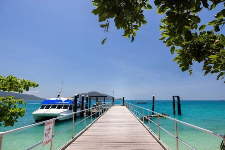 From Cairns: Fitzroy Island Day Trip by Ferry - Authentic Experiences Backed by Traveler Insights