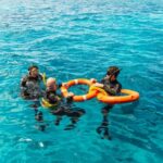 From Cairns: Great Barrier Reef Cruise by Premium Catamaran - The Experience: What to Expect on This Reef Trip
